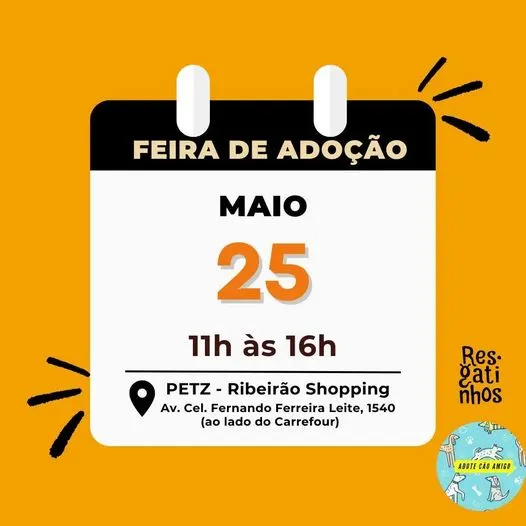 Feira de Adoção Animal Ribeirão Preto: Encontre Seu Novo Amigo!