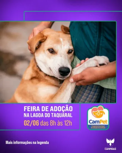 Amor e Lealdade te Esperam na Feira de Adoção CamPet!