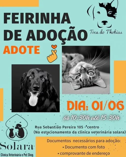 Feirinha de Adoção em Piedade: Encontre seu Novo Melhor Amigo!