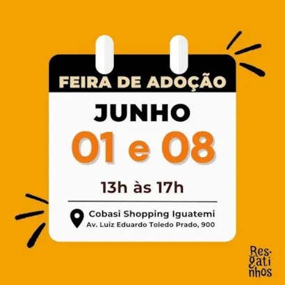 Adote um Amigo: Feira de Adoção de Animais em São Paulo
