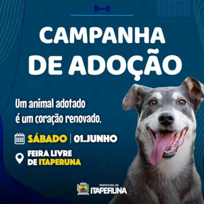 Campanha de Adoção em Itaperuna: Transforme Amor em Ação!