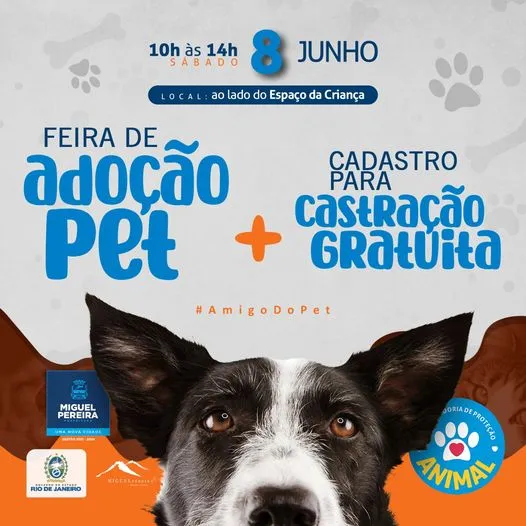 Junte-se a Nós na Feira de Adoção de Pets em Miguel Pereira!