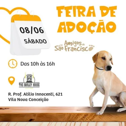 Feira de Adoção em São Paulo: Encontre Seu Novo Melhor Amigo!