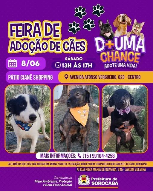Participe da Feira de Adoção de Cães em Sorocaba no Pátio Ciane Shopping, dia 8 de junho, das 13h às 17h. Encontre seu novo amigo! Adote amor!