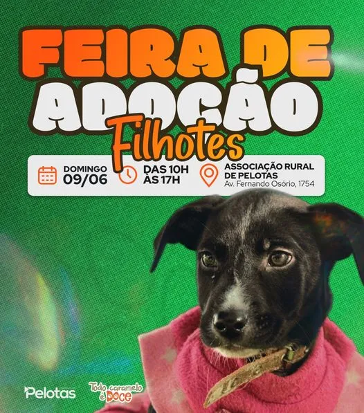 Feira de Adoção em Pelotas: Encontre Seu Novo Amigo!