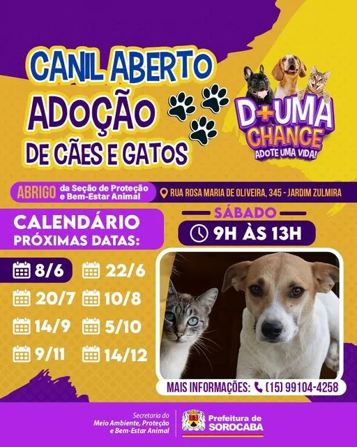 Adote um Amigo Peludo: Encontre seu Companheiro no Evento de Adoção!