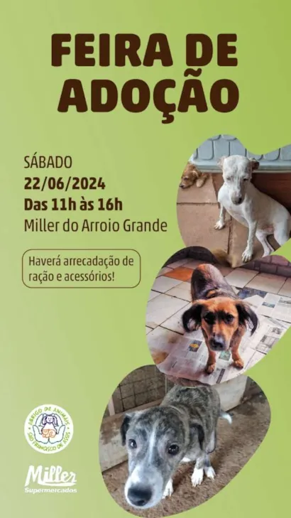 Feira de Adoção de Animais: Encontre Seu Novo Amigo em Santa Cruz!