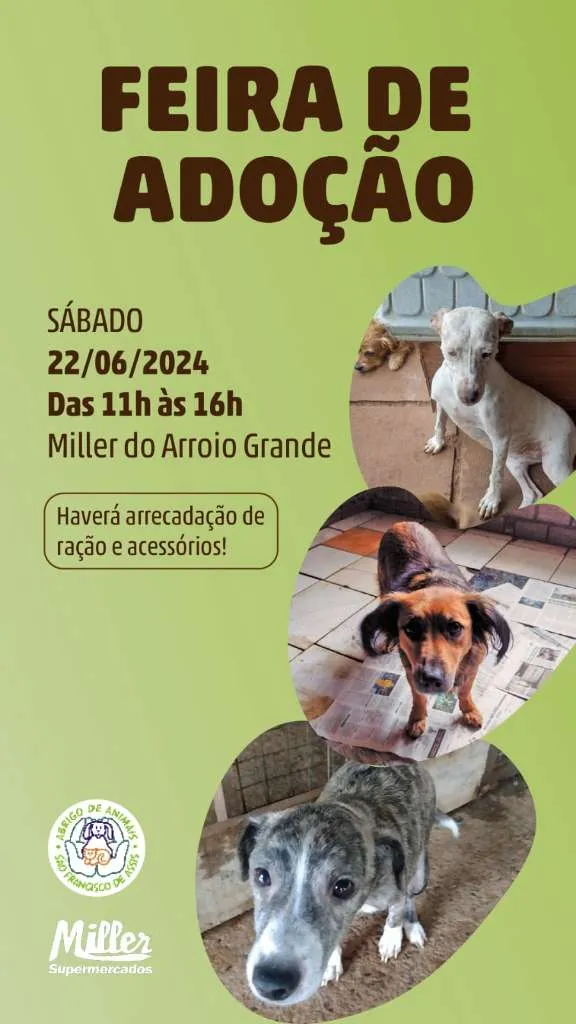 Feira de Adoção de Animais: Encontre Seu Novo Amigo em Santa Cruz!