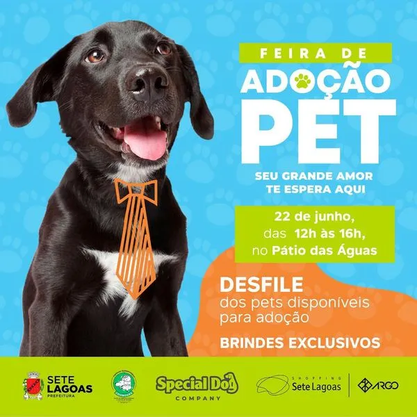 Feira de Adoção Pet em Sete Lagoas – Encontre um amigo para a vida!