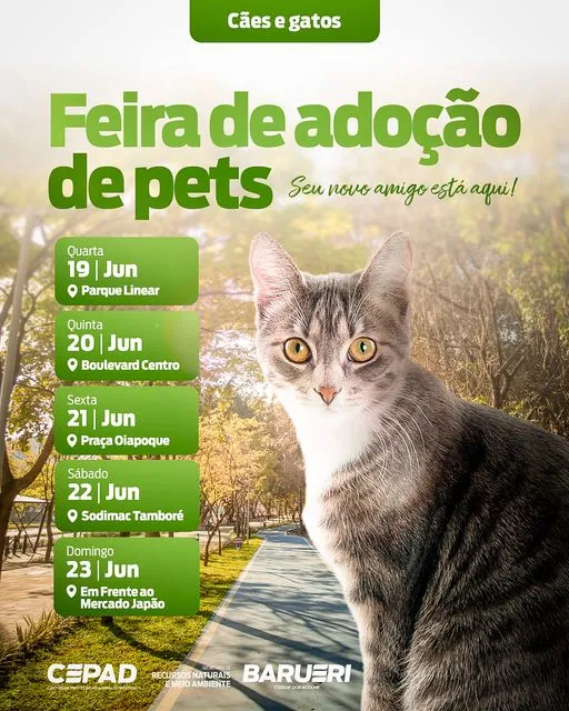 Feira de Adoção de Pets em Barueri: Encontre seu Novo Melhor Amigo!