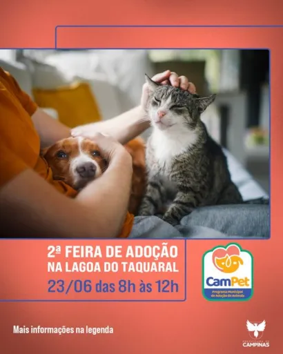 Encontre seu novo amigo de quatro patas em Campinas!