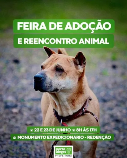 Encontre seu Novo Amigo: Feira de Adoção Animal em Porto Alegre!