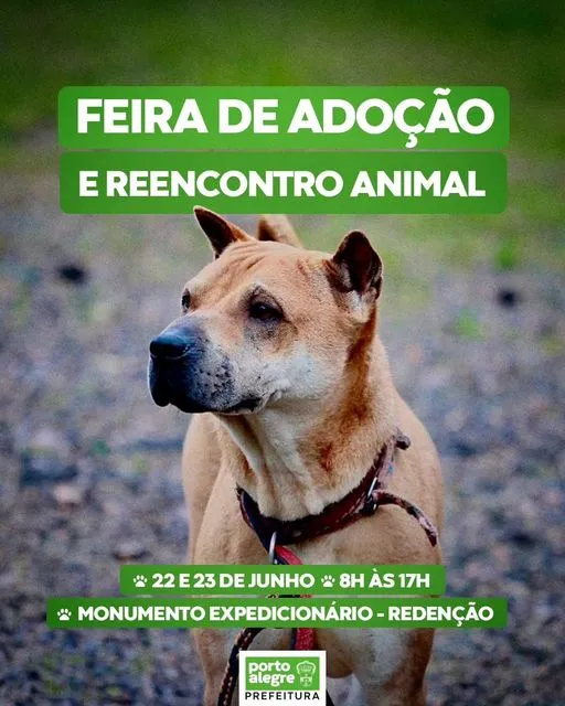 Encontre seu Novo Amigo: Feira de Adoção Animal em Porto Alegre!