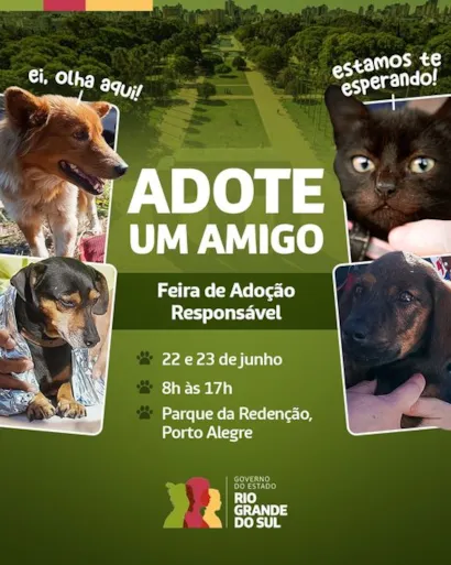 Adote um Companheiro para a Vida na Feira de Adoção em Porto Alegre