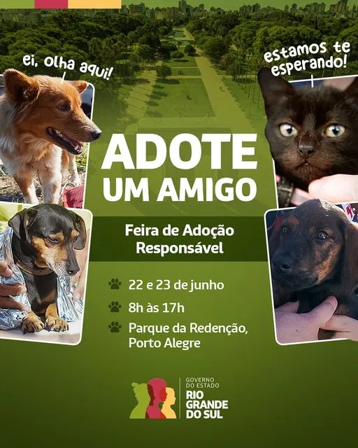 Adote um Companheiro para a Vida na Feira de Adoção em Porto Alegre