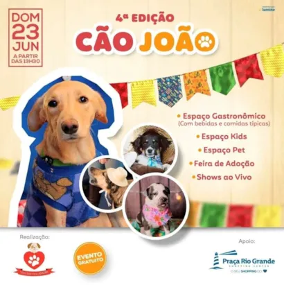 Encontre Seu Novo Amigo de Quatro Patas no Cão João!