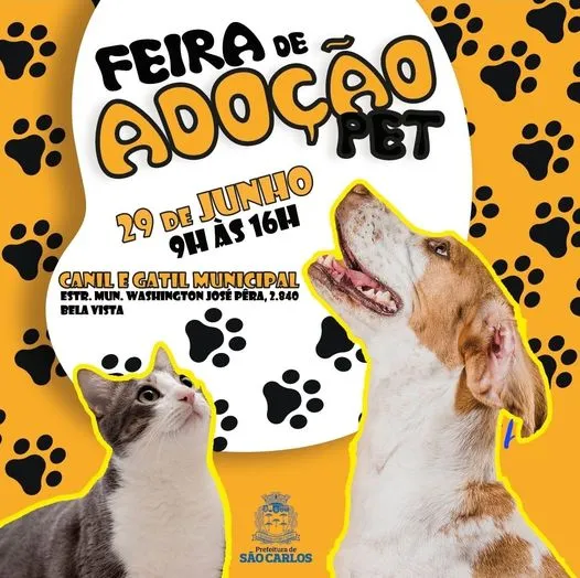 Encontre seu novo melhor amigo na Feira de Adoção em São Carlos, dia 29 de junho. Adote um pet saudável e faça a diferença na vida deles e na sua!