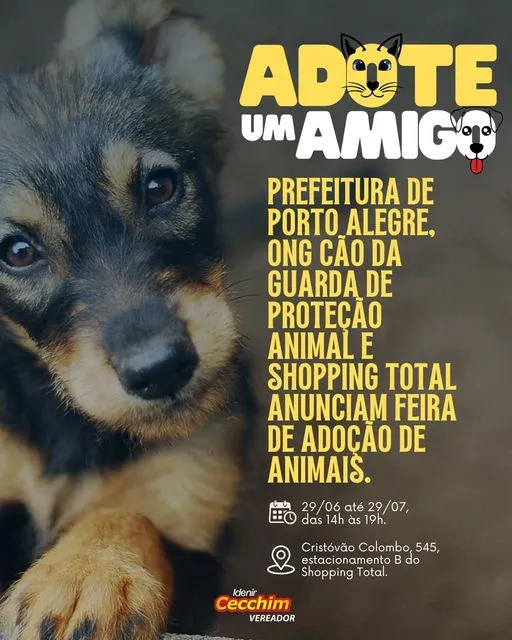 Encontre Seu Novo Melhor Amigo: Feira de Adoção em Porto Alegre!