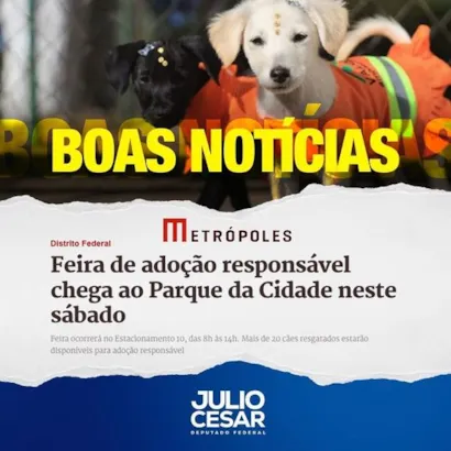 Grande Evento de Adoção de Animais no Parque da Cidade de Brasília!