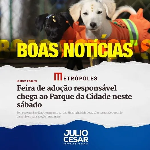 Grande Evento de Adoção de Animais no Parque da Cidade de Brasília!