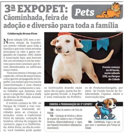 Feira de Adoção Amor Pet em Pindamonhangaba: Encontre seu Novo Amigo!