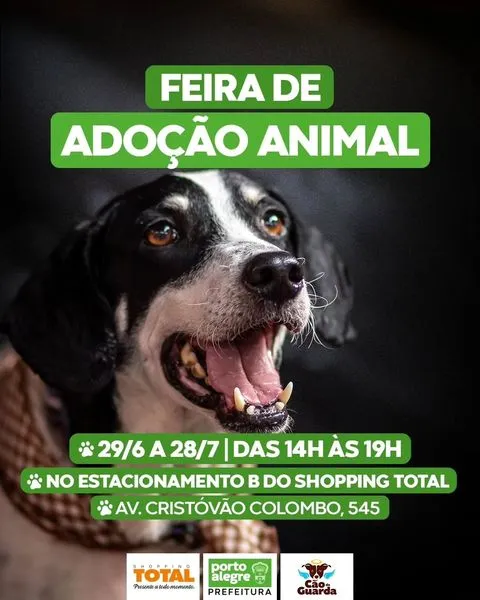 Feira de Adoção Animal: Encontre Seu Novo Melhor Amigo!