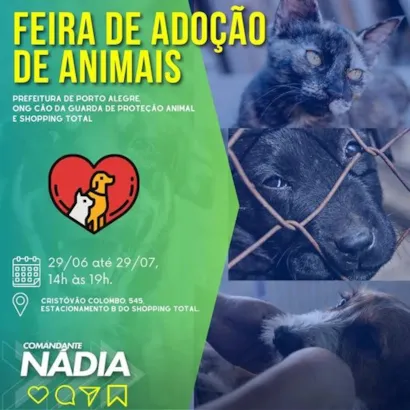 Encontre Seu Novo Amigo de Quatro Patas em Porto Alegre!