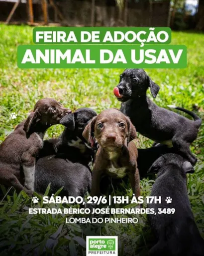 Encontre seu Novo Amigo: Adoção de Animais na USAV!