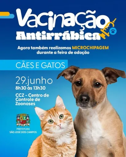 Encontre Seu Novo Melhor Amigo: Feira de Adoção Animal em SJC!