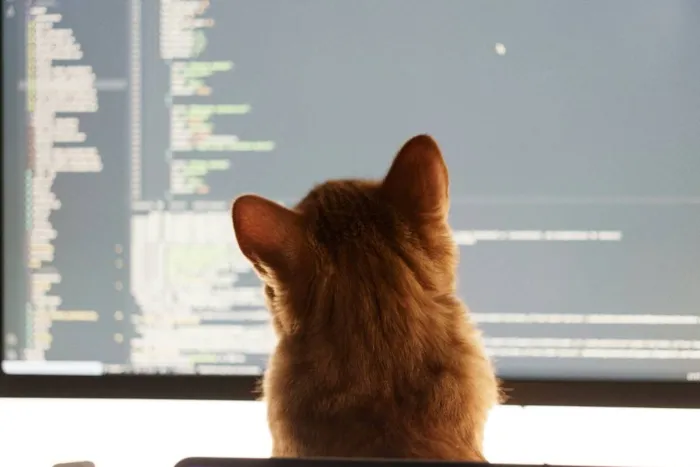 Pets e Tecnologia: Aplicativos e Gadgets para o Bem-estar Animal