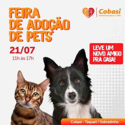 Feira de Adoção de Pets em Brasília: Encontre seu Novo Amigo!