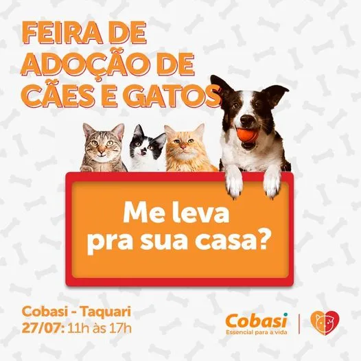 Adote um Amigo: Encontre seu Novo Companheiro em Brasília!