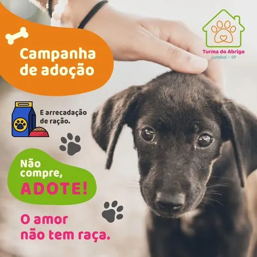 Encontre um Amigo: Grande Feira de Adoção Animal em Jundiaí!