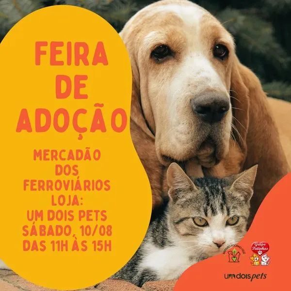 Participe da Feira de Adoção de Pets em Jundiaí, 10 de agosto, das 11h às 15h. Encontre seu novo amigo de quatro patas e mude vidas com amor!
