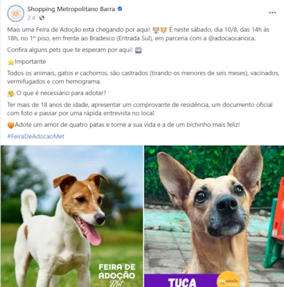 Grandiosa Feira de Adoção Animal no Rio de Janeiro!