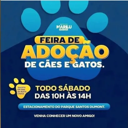 Feira de Adoção de Animais: Encontre seu Novo Melhor Amigo!