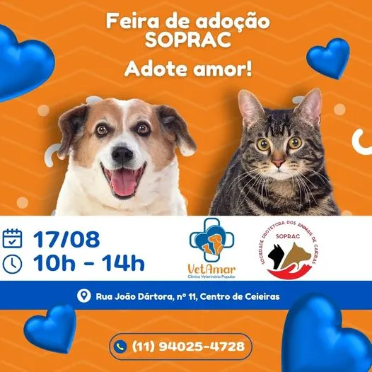 Amor de Quatro Patas te Espera na Feira de Adoção SOPRAC!