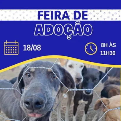 Feira de Adoção em Marília: Encontre seu Melhor Amigo!