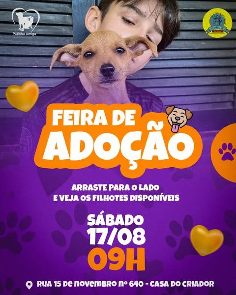 Feira de Adoção em Três Rios: Encontre Seu Novo Amigo!