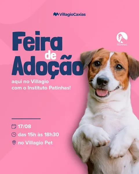 Feira de Adoção de Pet em Caxias: Encontre seu Novo Amigo!