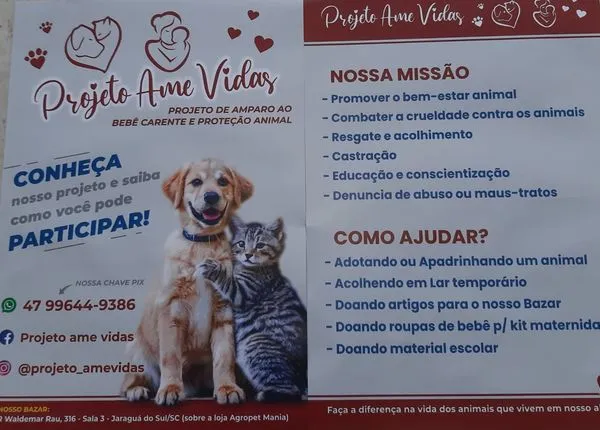 Feira de Adoção Projeto Ame Vidas: Encontre seu novo amigo!