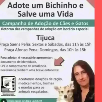 Encontre seu Melhor Amigo no Evento de Adoção na Tijuca