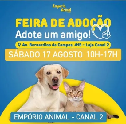 Amor e Companhia te Esperam na Feira de Adoção em Santos!