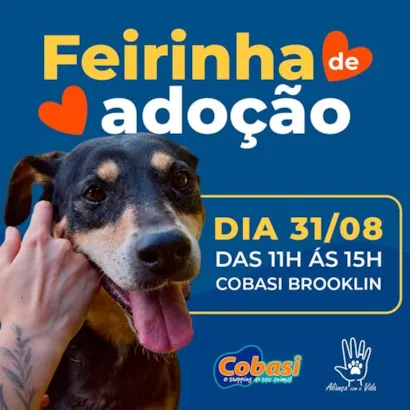 Amor e Alegria Esperam por Você na Feirinha de Adoção em SP!