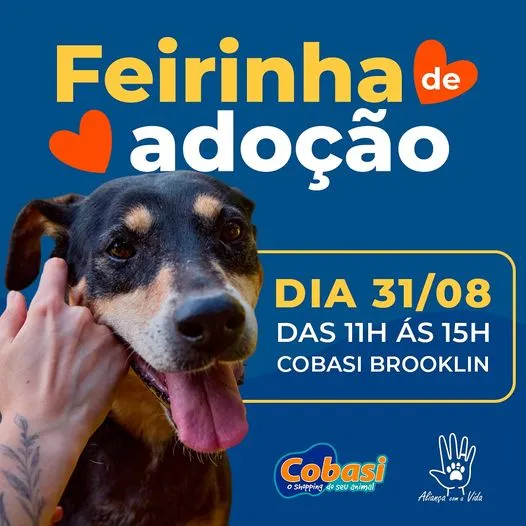 Amor e Alegria Esperam por Você na Feirinha de Adoção em SP!