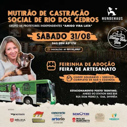 Amor e Cuidado em Quatro Patas: Feira de Adoção em Rio dos Cedros