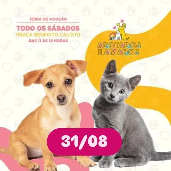 Encontre seu Novo Melhor Amigo na Feira de Adoção de Animais!