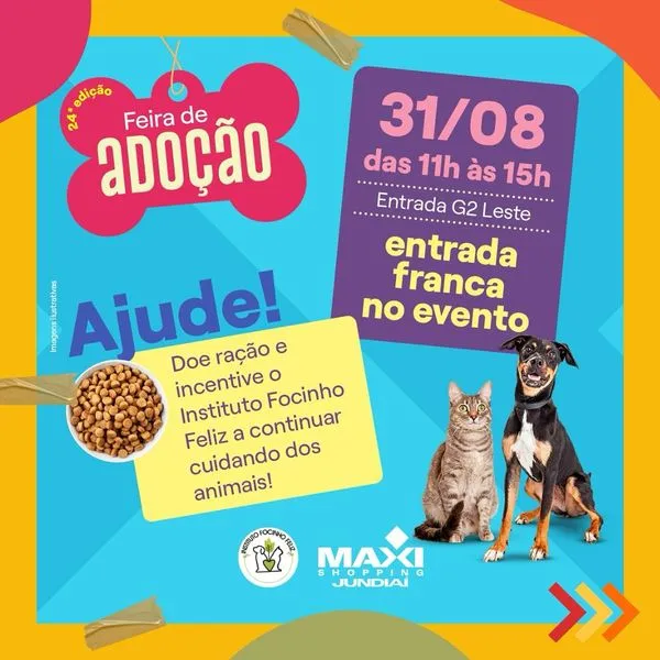 Feira de Adoção em Jundiaí: Encontre seu Novo Melhor Amigo!