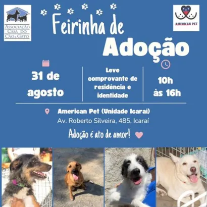 Feirinha de Adoção em Niterói: Encontre seu Novo Amigo!