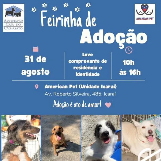 Feirinha de Adoção em Niterói: Encontre seu Novo Amigo!